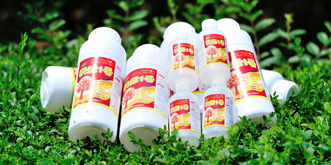 繁殖、栽培、養(yǎng)護(hù)美國紅楓專家